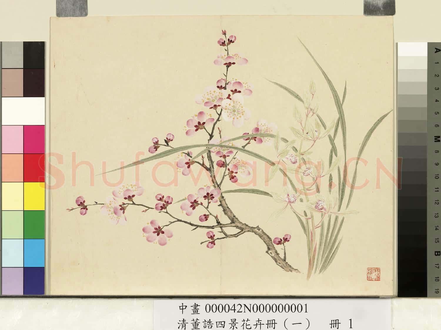 清.董誥四景花卉(一)冊春景花卉之一.中畫