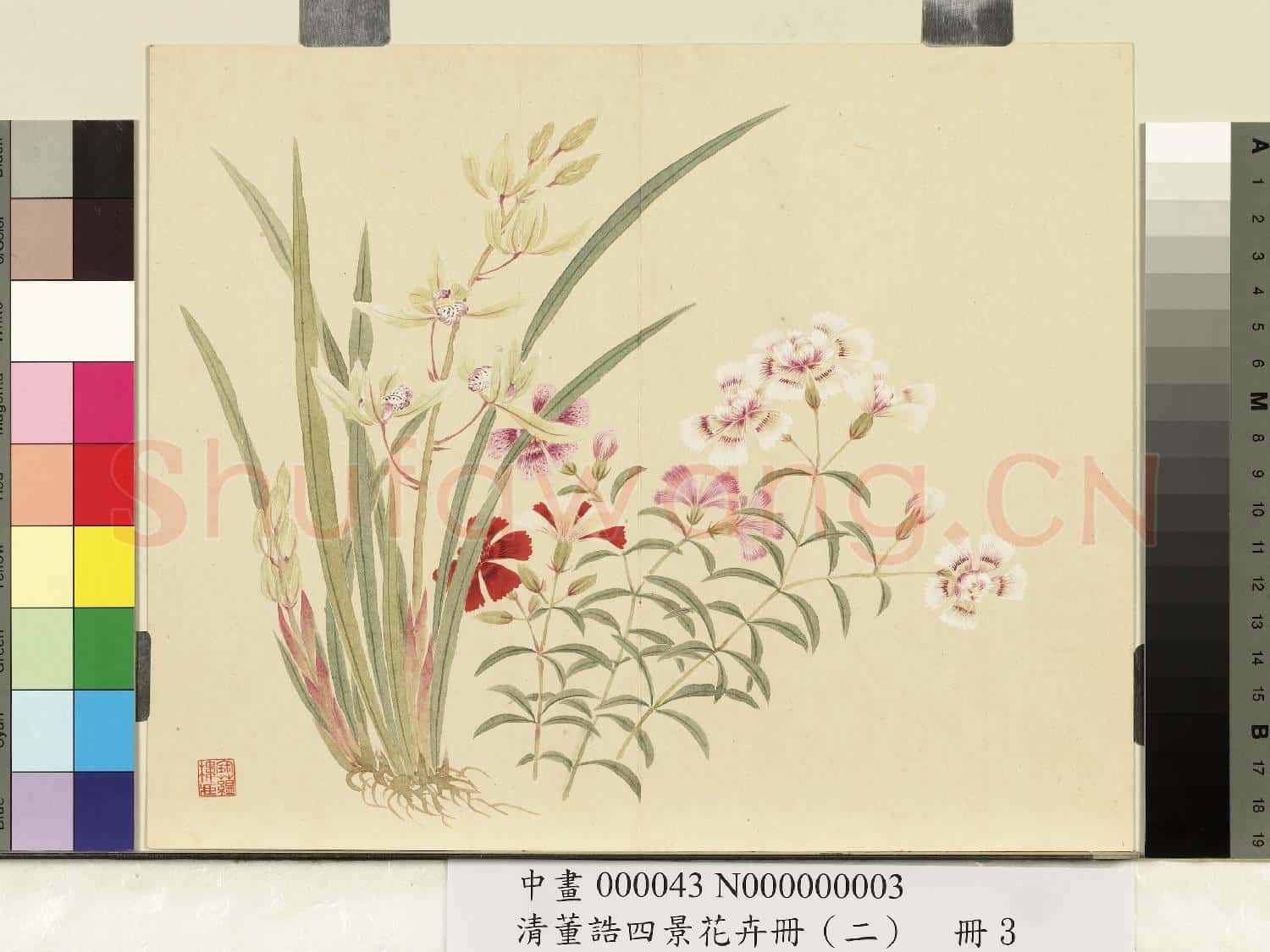 清.董誥四景花卉冊(二)冊夏景花卉之三.中畫