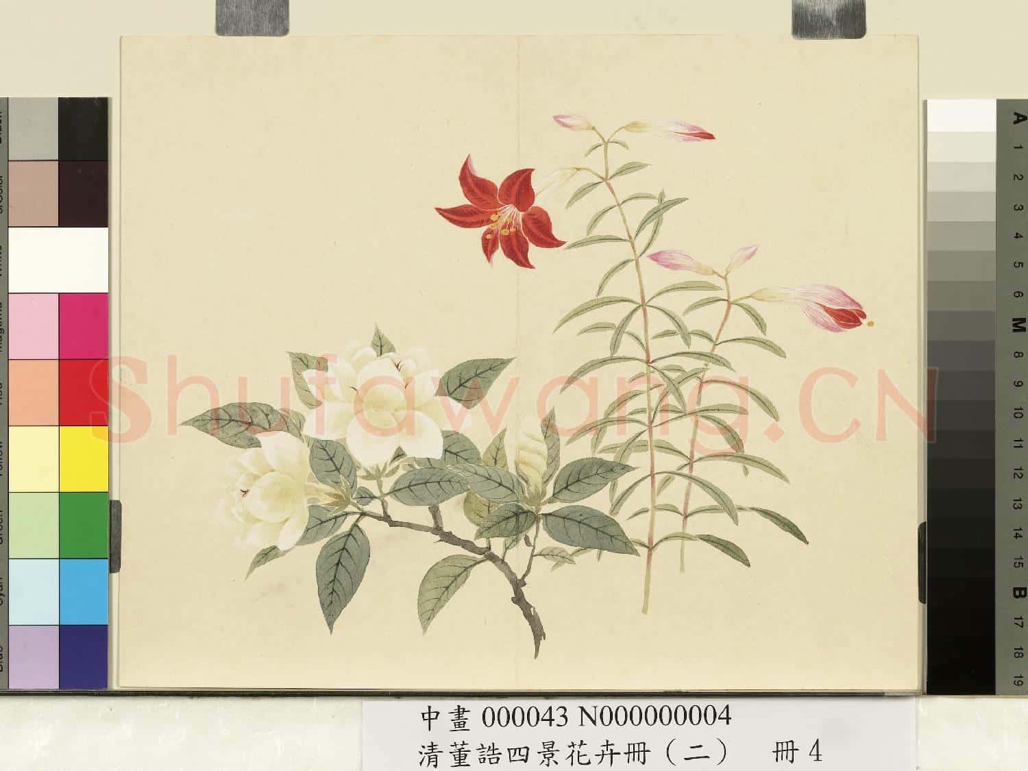 清.董誥四景花卉冊(二)冊夏景花卉之四.中畫