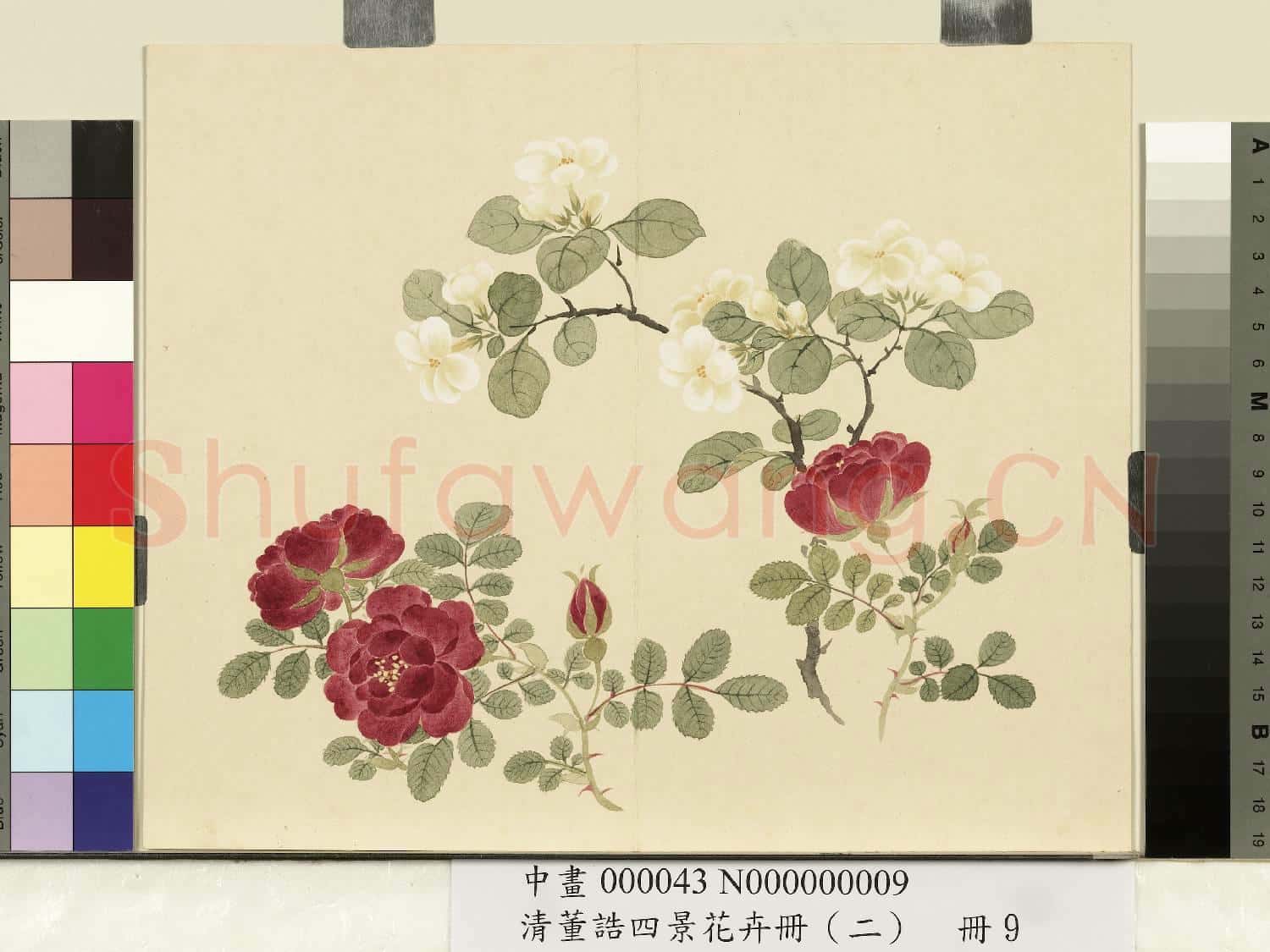清.董誥四景花卉冊(二)冊夏景花卉之九.中畫
