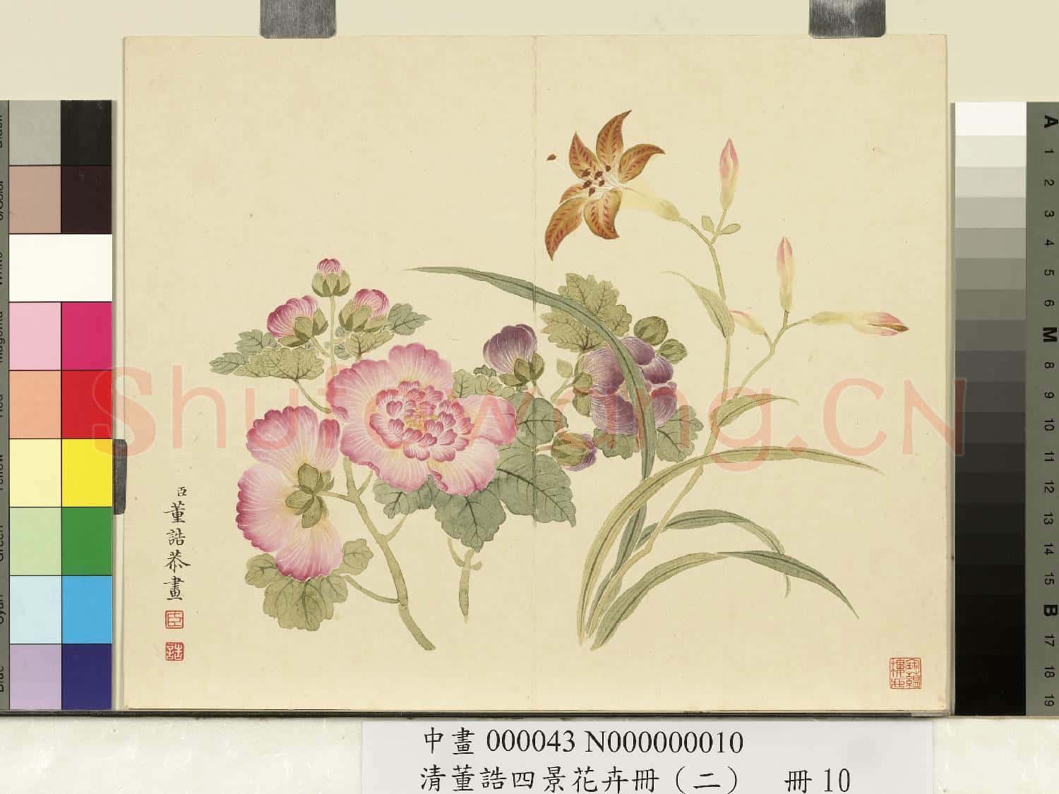 清.董誥四景花卉冊(二)冊夏景花卉之十.中畫
