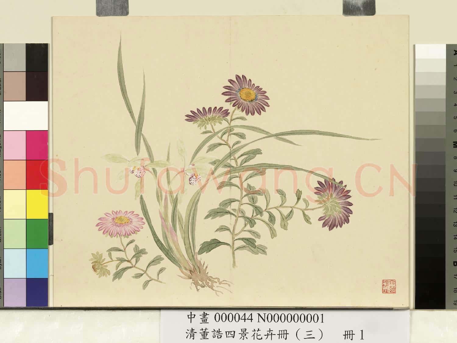 清.董誥四景花卉(三)冊秋景花卉之一.中畫