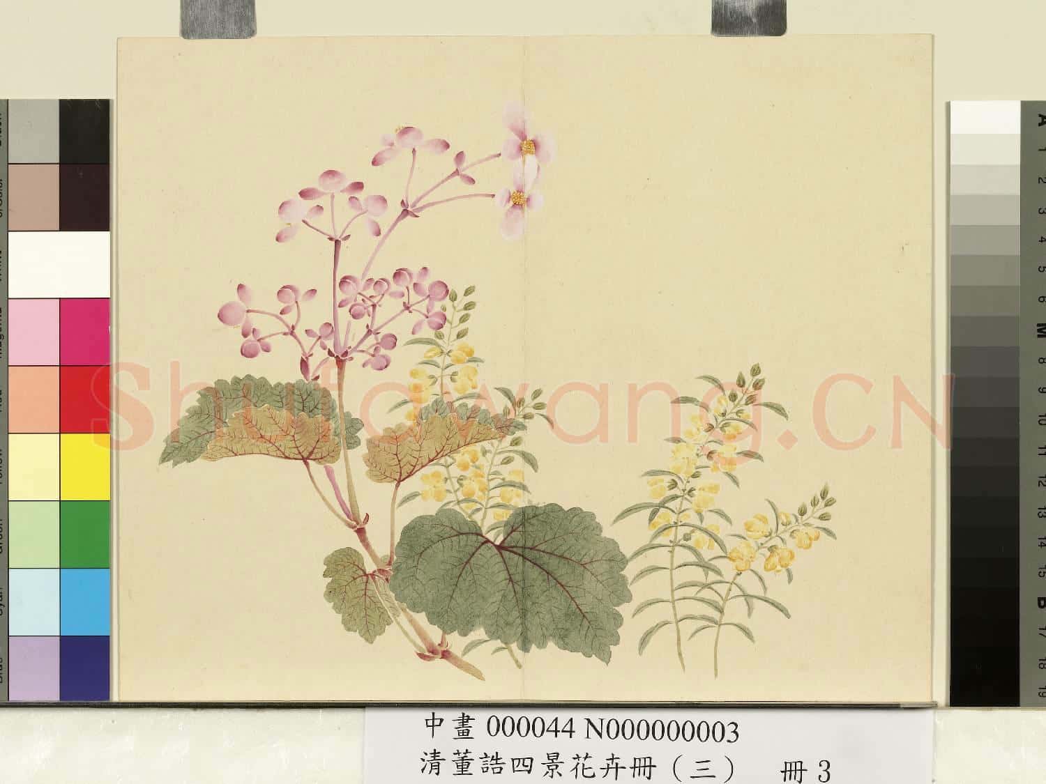 清.董誥四景花卉(三)冊秋景花卉之三.中畫