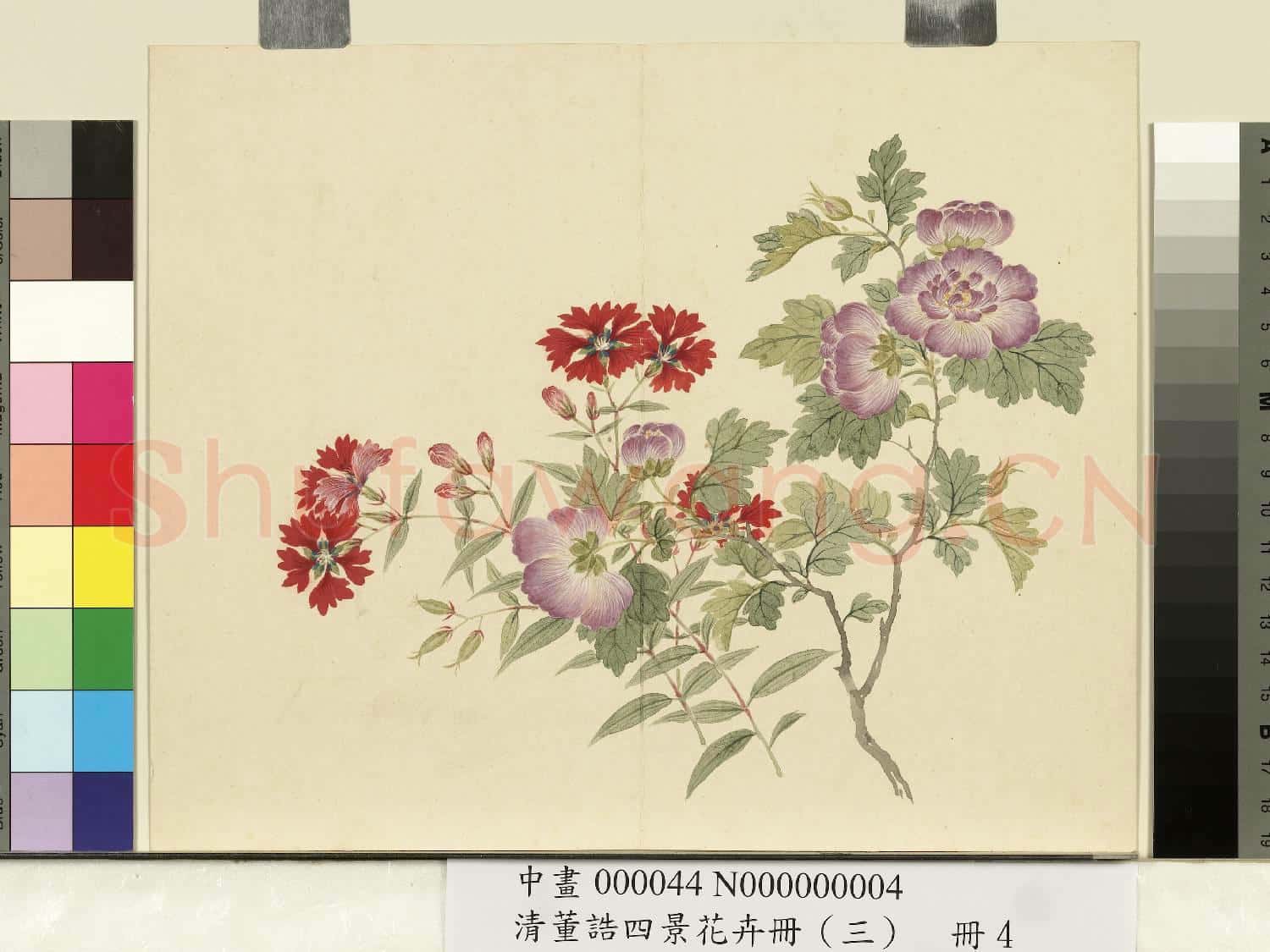 清.董誥四景花卉(三)冊秋景花卉之四.中畫