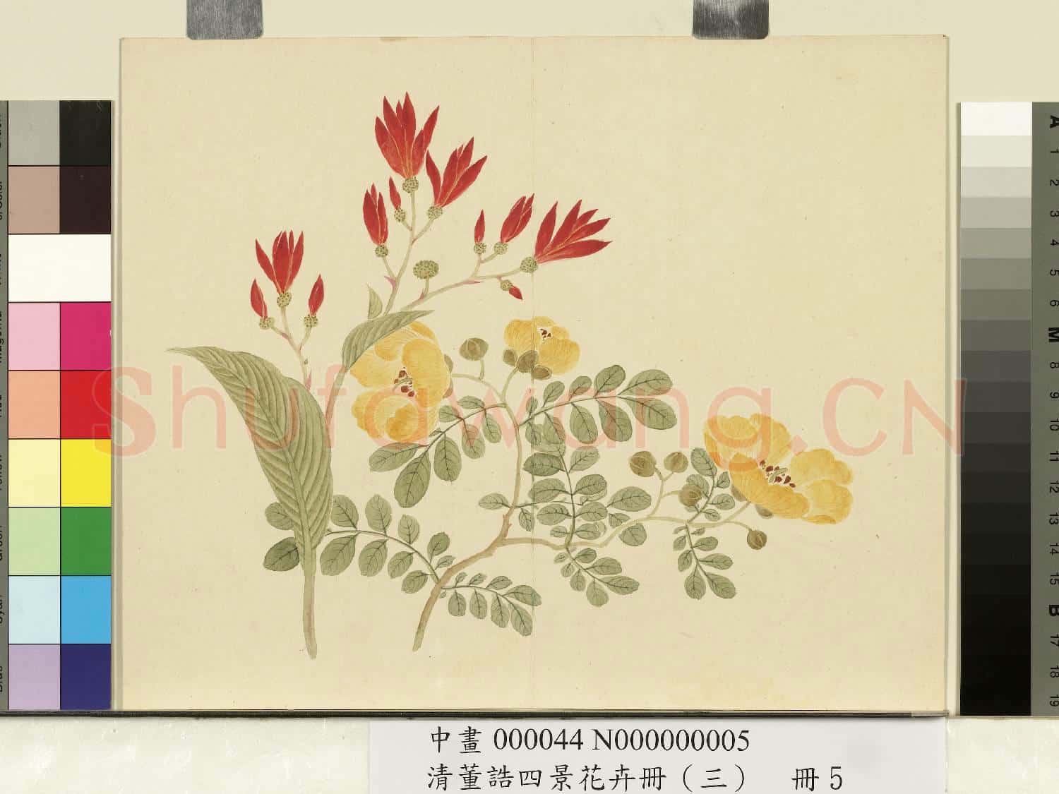 清.董誥四景花卉(三)冊秋景花卉之五.中畫
