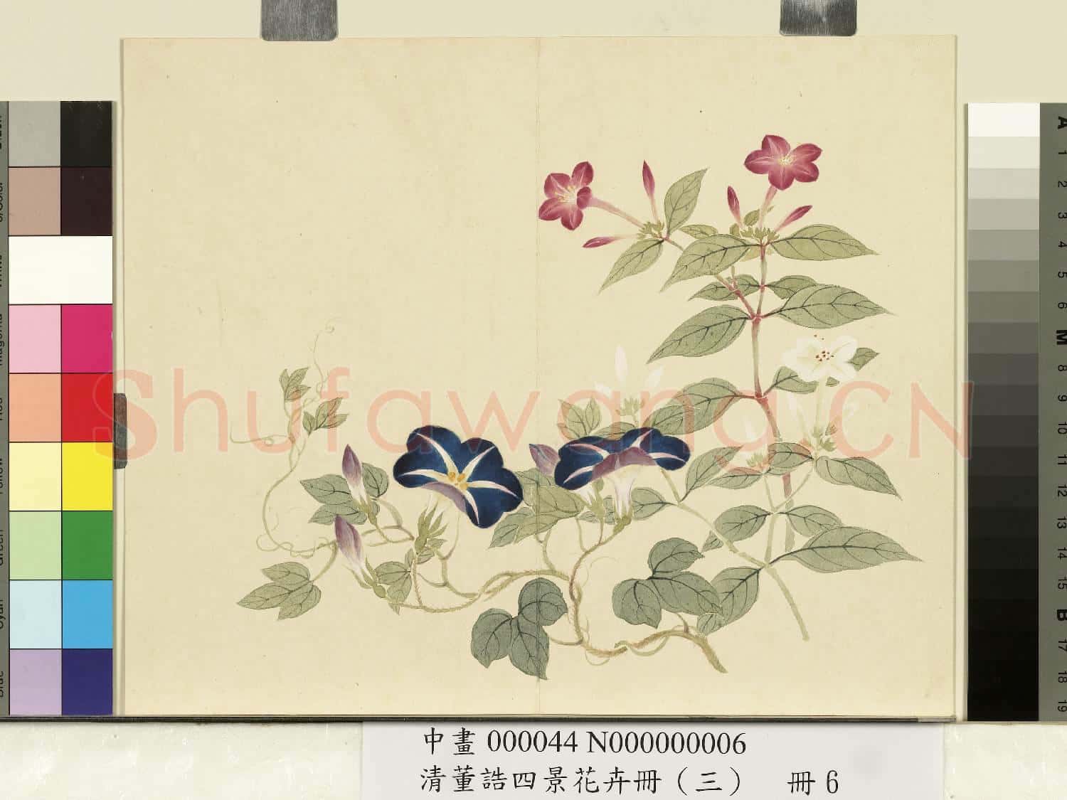 清.董誥四景花卉(三)冊秋景花卉之六.中畫