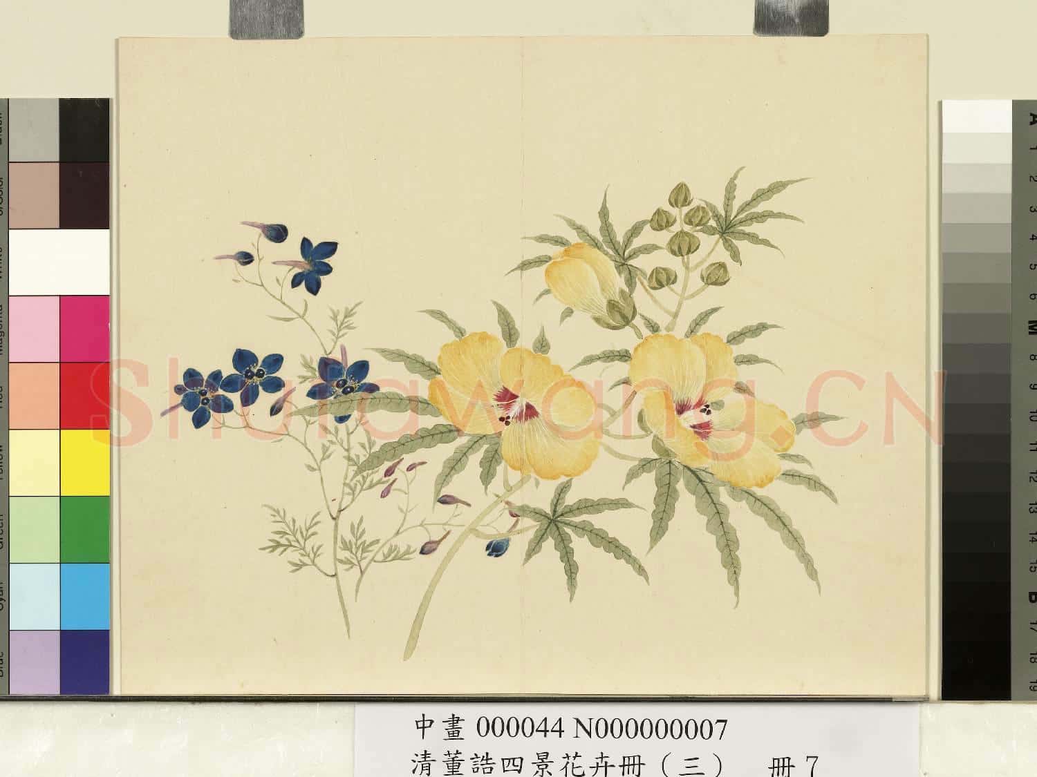 清.董誥四景花卉(三)冊秋景花卉之七.中畫