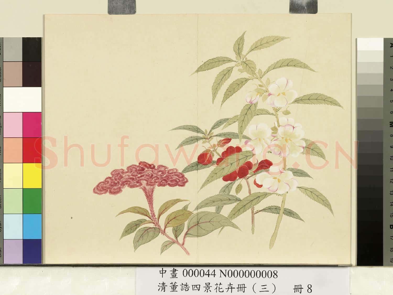 清.董誥四景花卉(三)冊秋景花卉之八.中畫