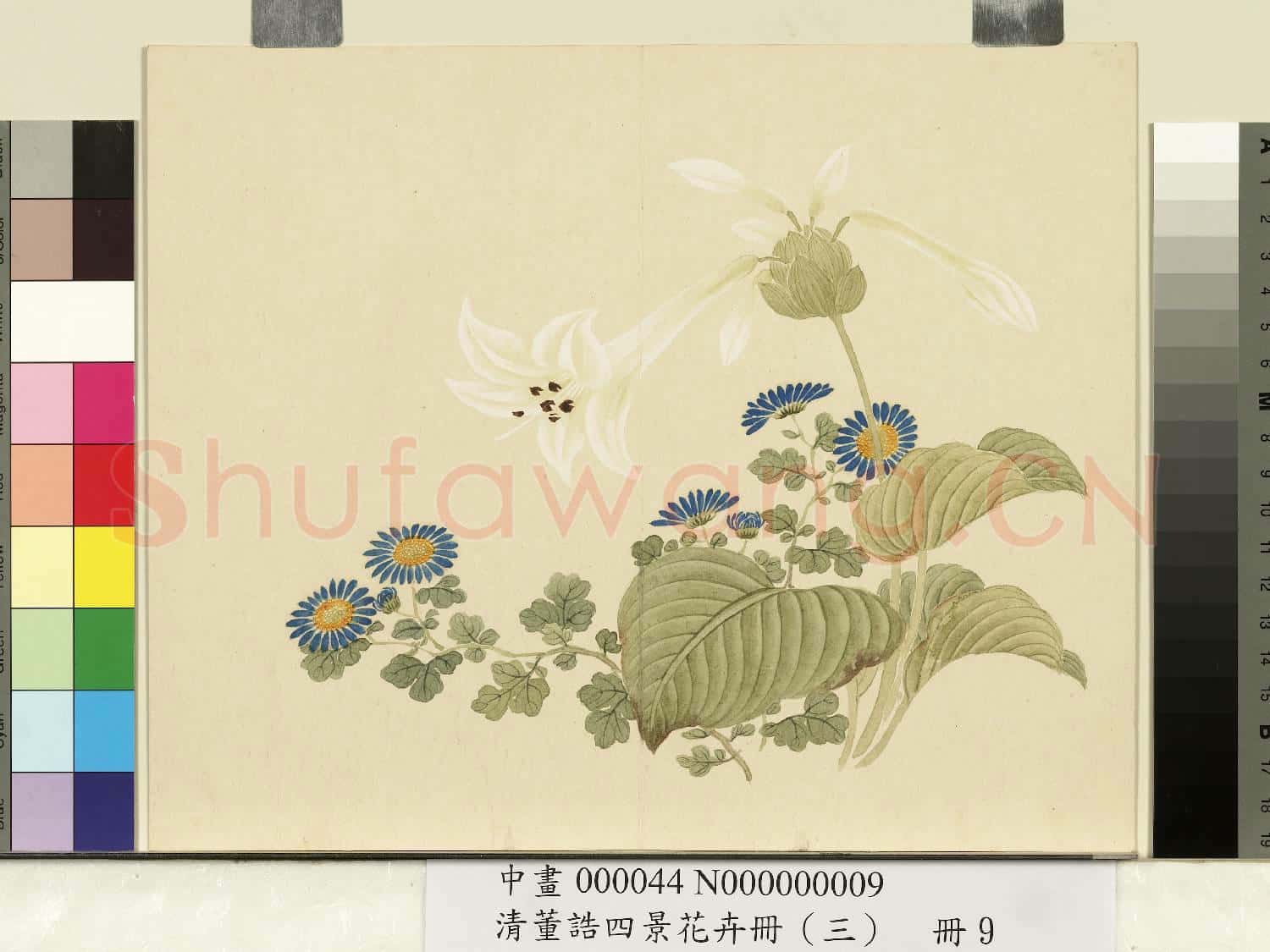 清.董誥四景花卉(三)冊秋景花卉之九.中畫