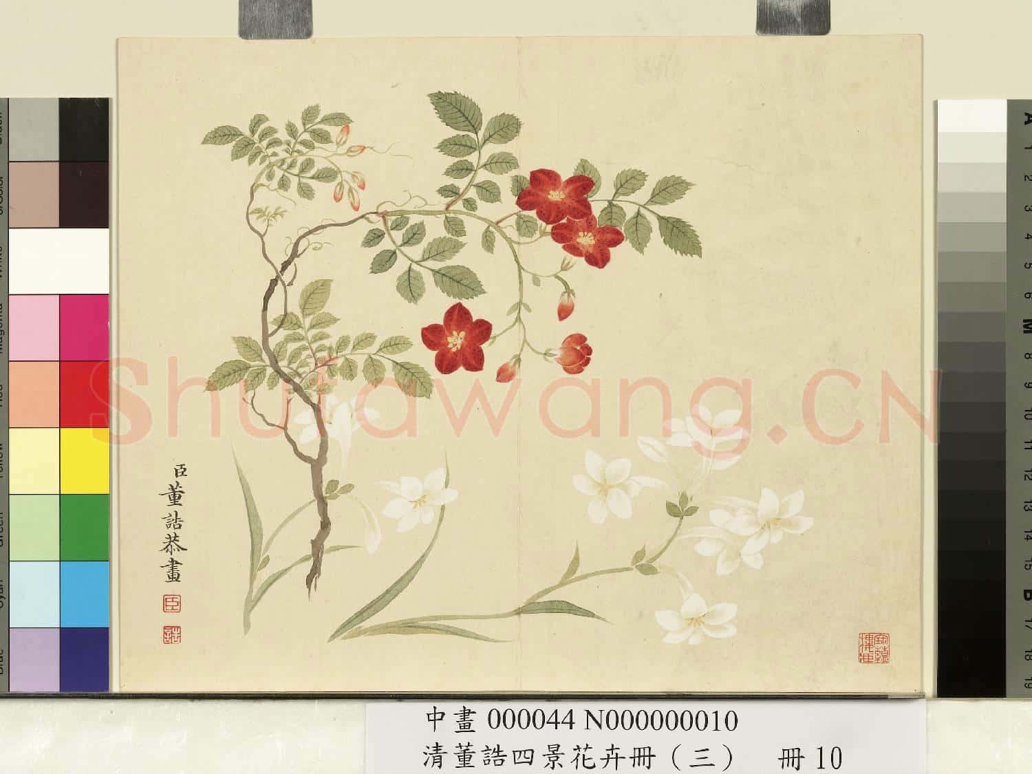 清.董誥四景花卉(三)冊秋景花卉之十.中畫