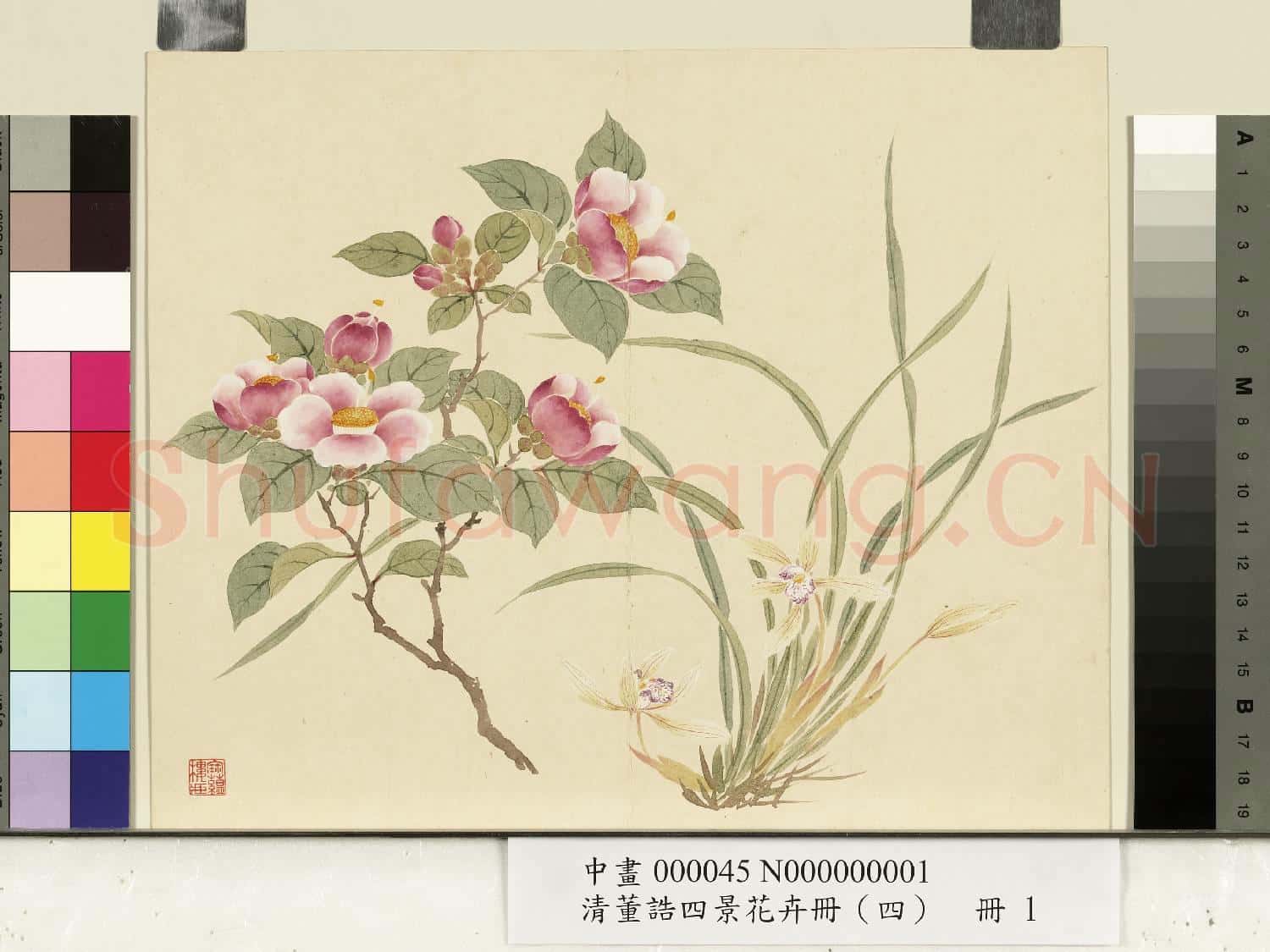 清.董誥四景花卉(四)冊冬景花卉之一.中畫