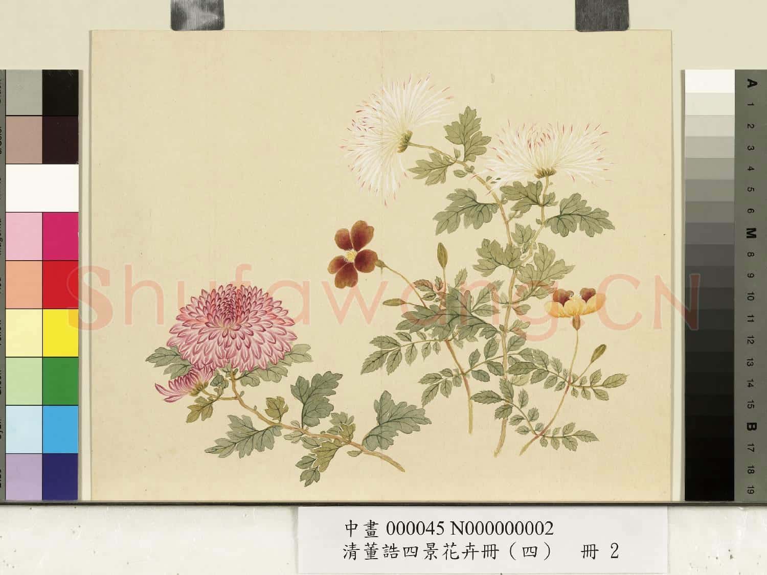 清.董誥四景花卉(四)冊冬景花卉之二.中畫