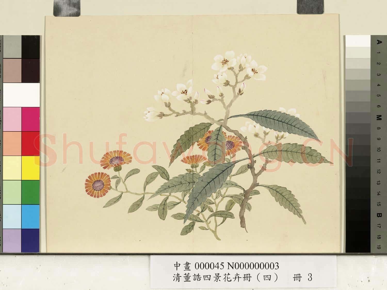 清.董誥四景花卉(四)冊冬景花卉之三.中畫