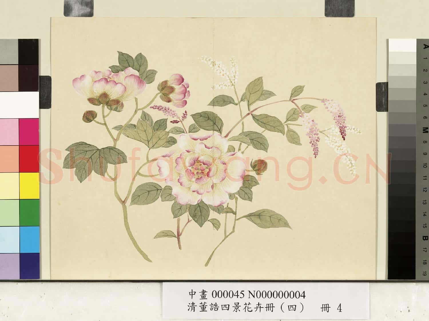 清.董誥四景花卉(四)冊冬景花卉之四.中畫