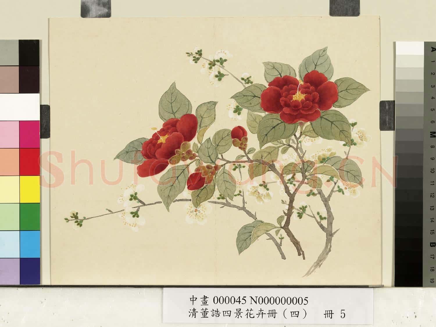 清.董誥四景花卉(四)冊冬景花卉之五.中畫