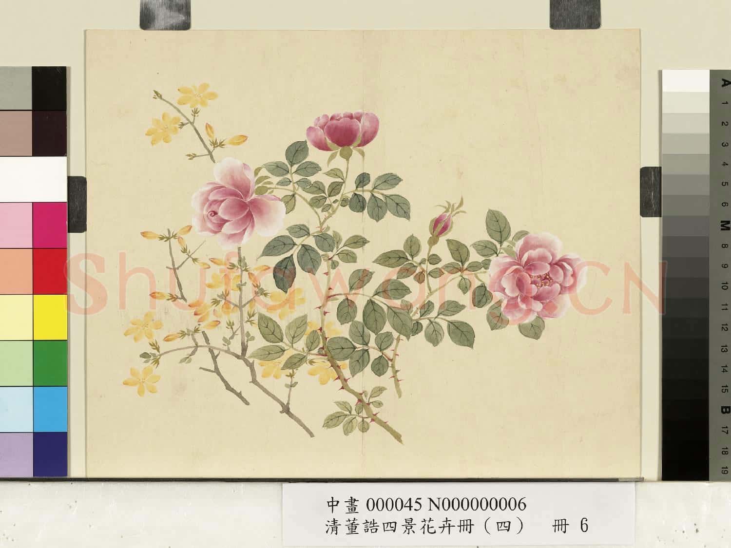清.董誥四景花卉(四)冊冬景花卉之六.中畫