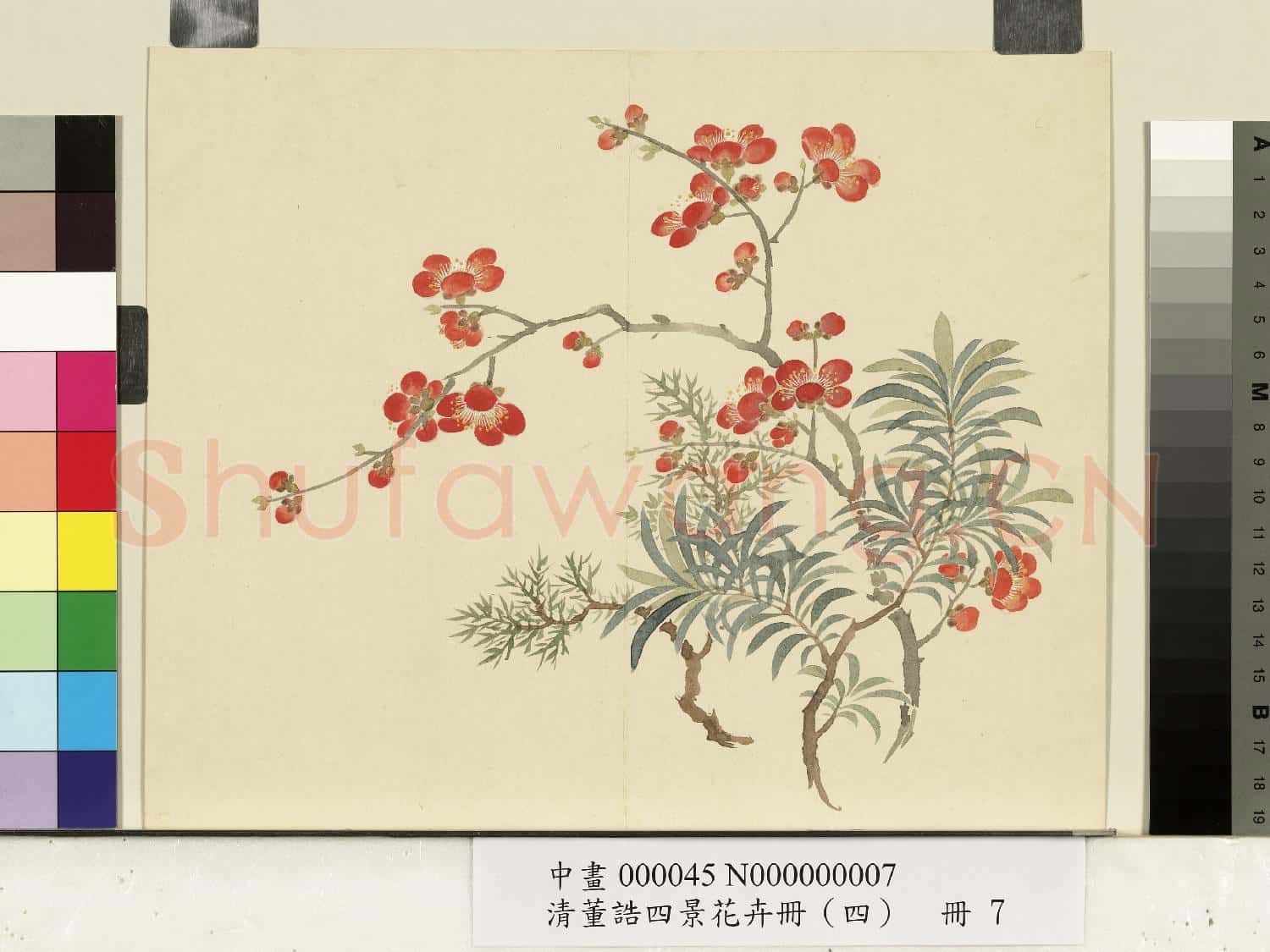 清.董誥四景花卉(四)冊冬景花卉之七.中畫