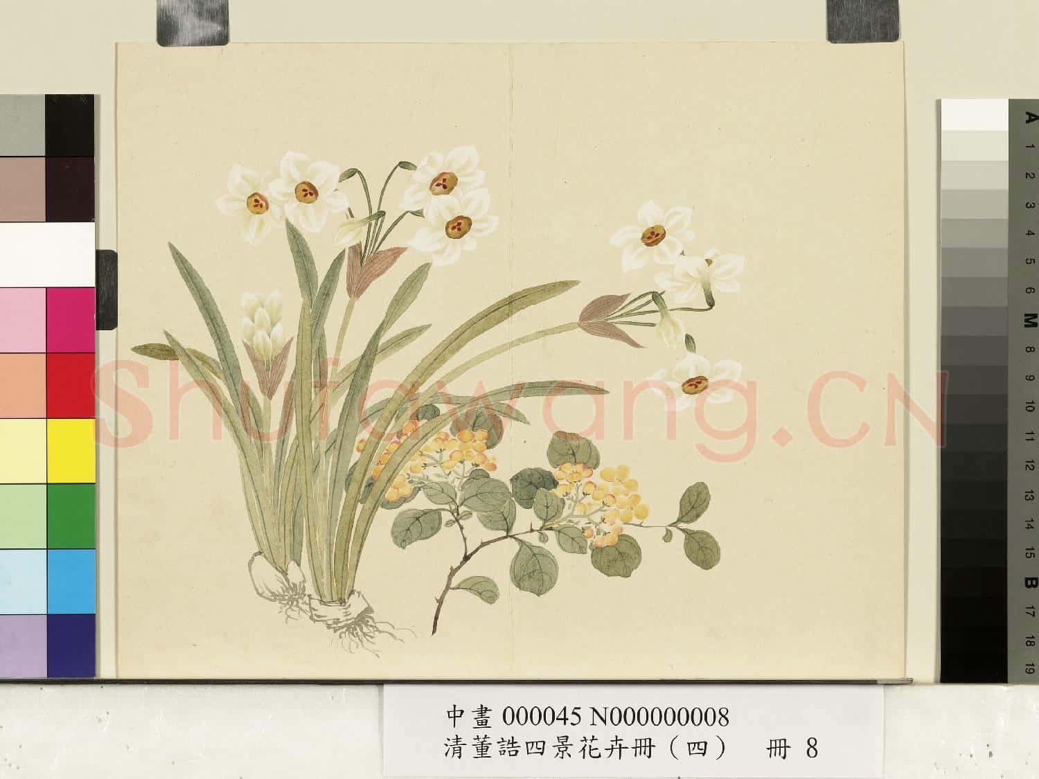 清.董誥四景花卉(四)冊冬景花卉之八.中畫