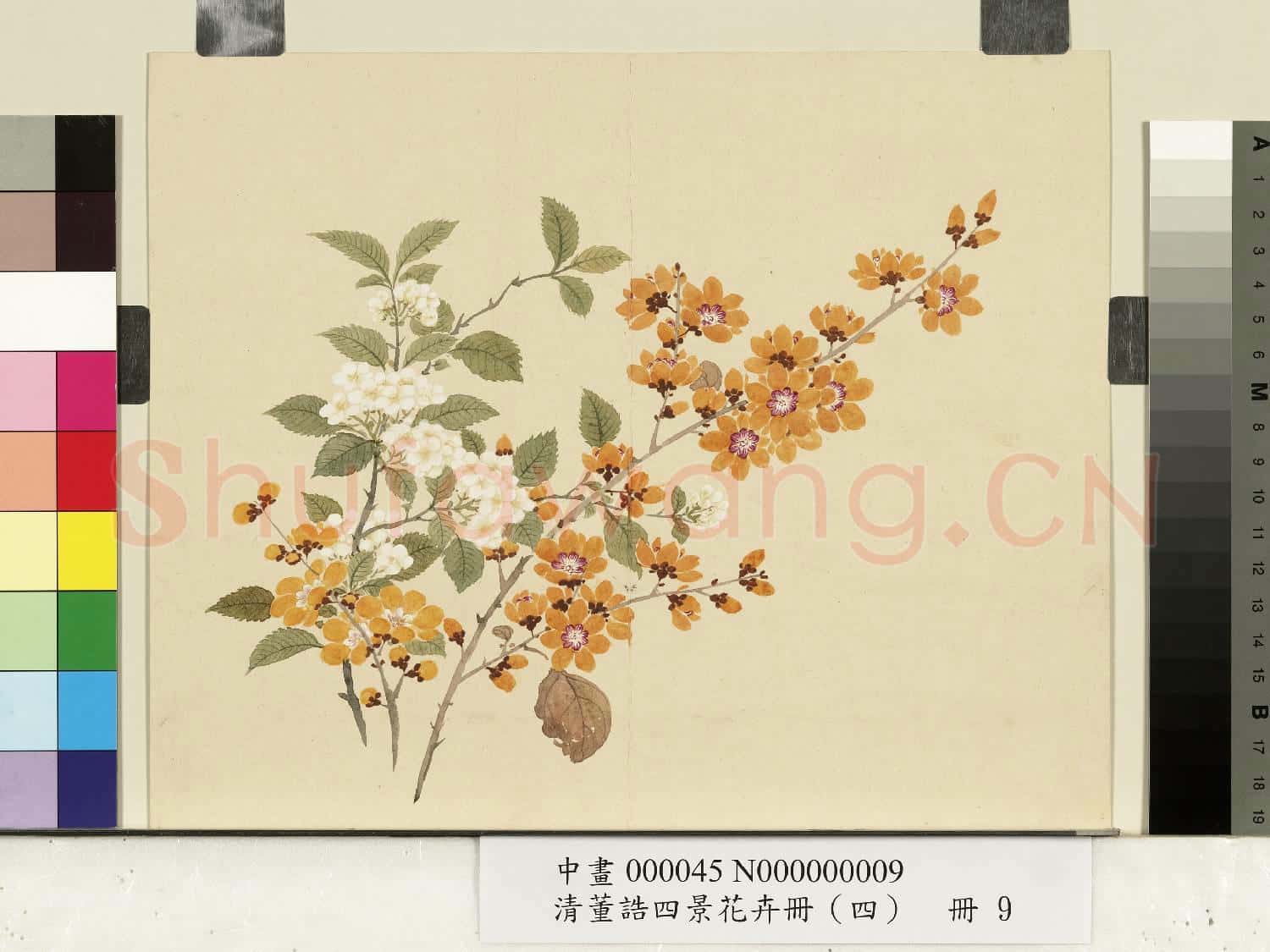 清.董誥四景花卉(四)冊冬景花卉之九.中畫