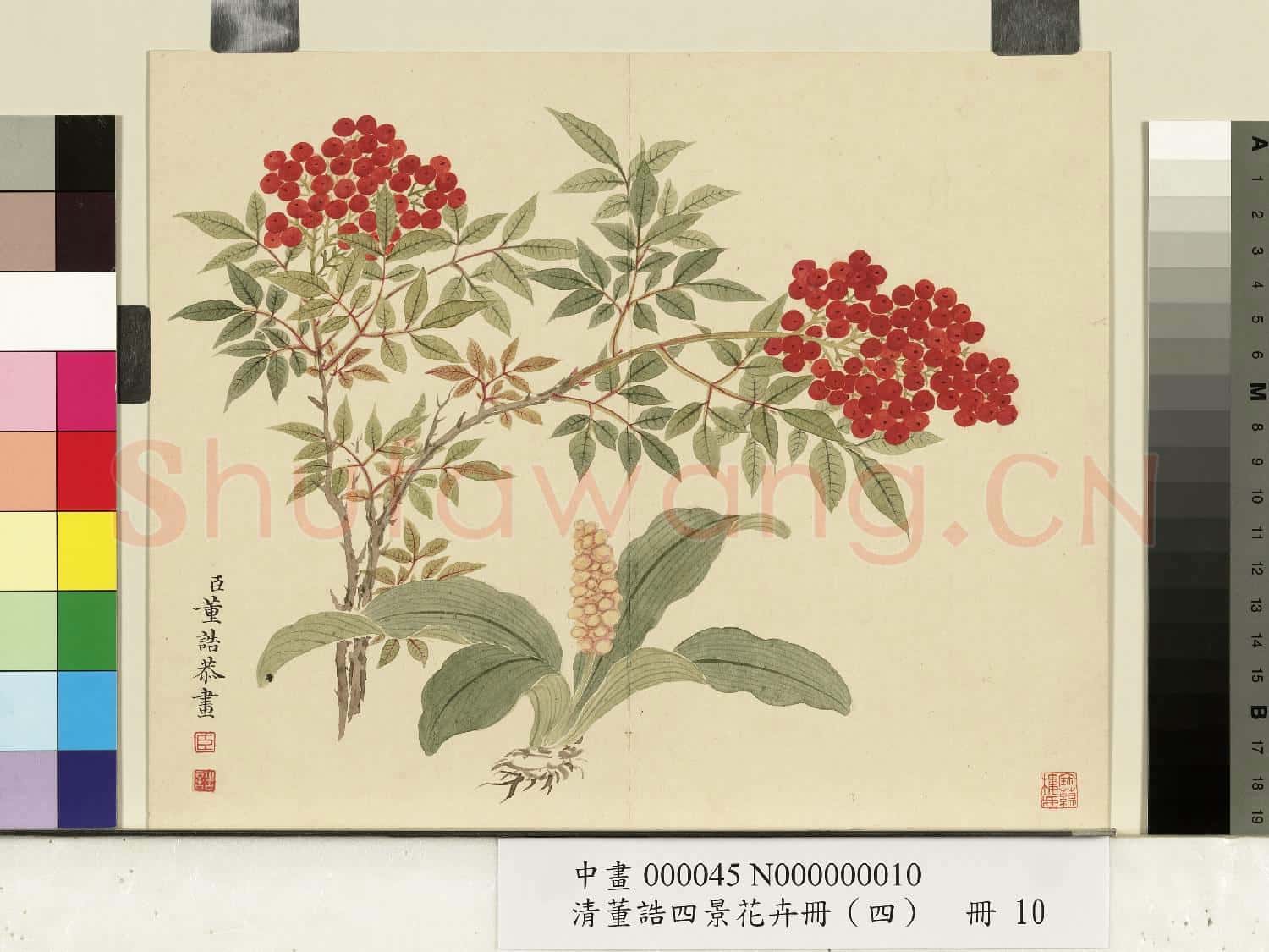 清.董誥四景花卉(四)冊冬景花卉之十.中畫