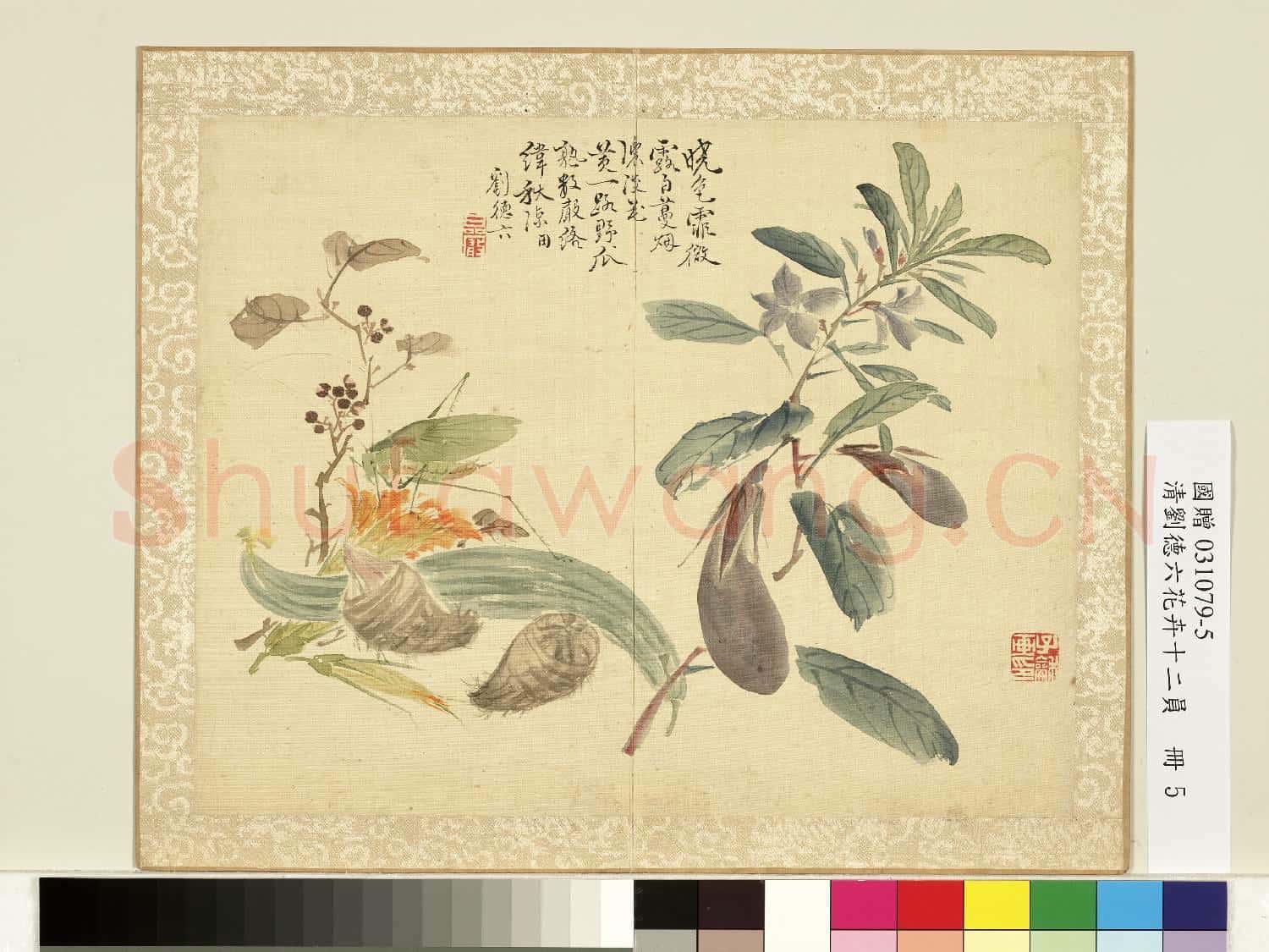 清.劉德六花卉十二員冊絡緯秋瓜.贈畫