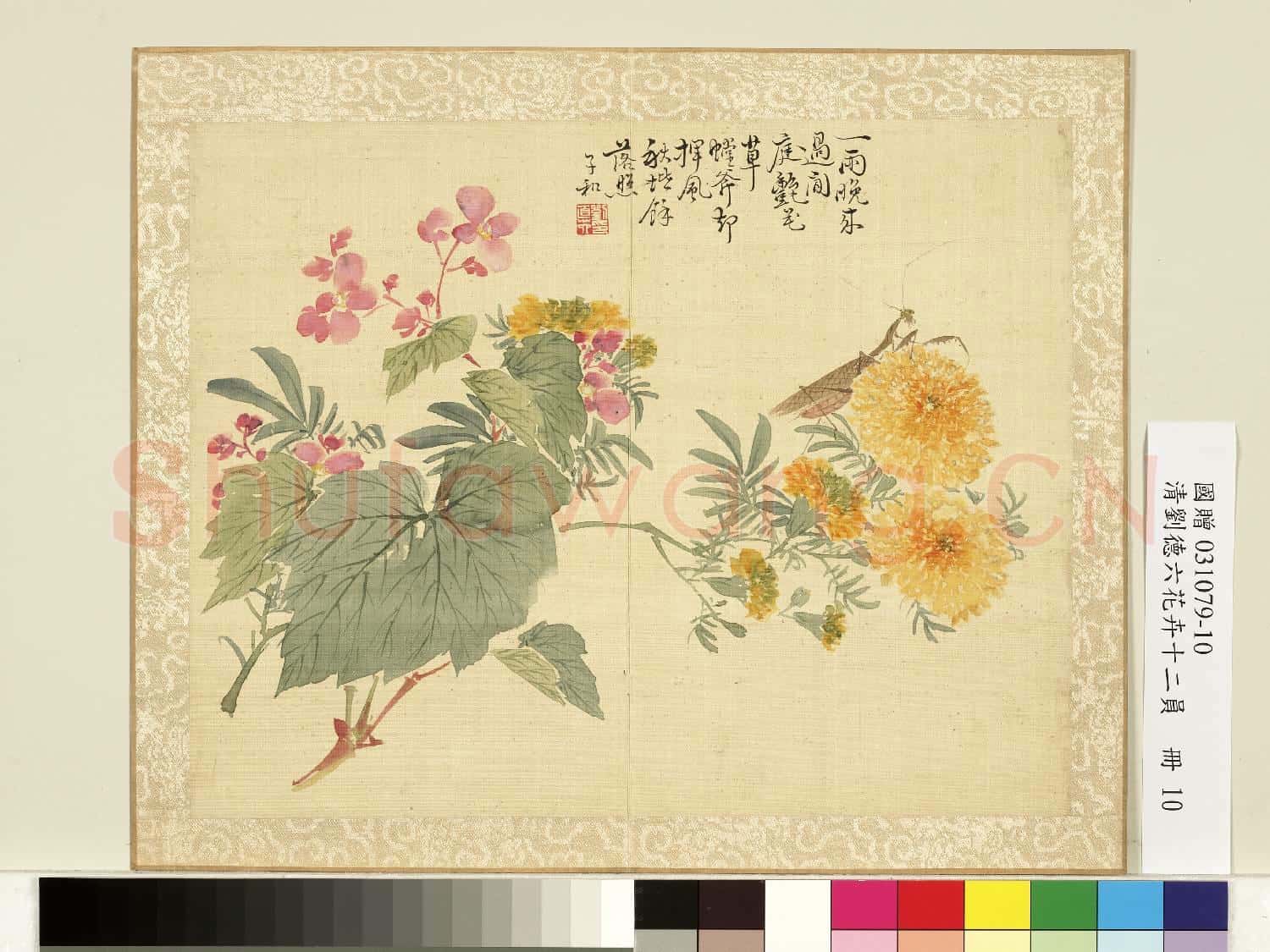 清.劉德六花卉十二員冊秋菊海棠.贈畫