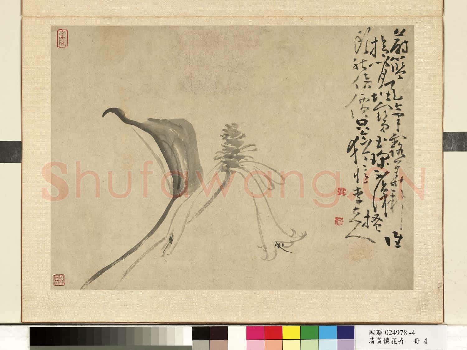 清.黃慎花卉冊玉簪.贈畫
