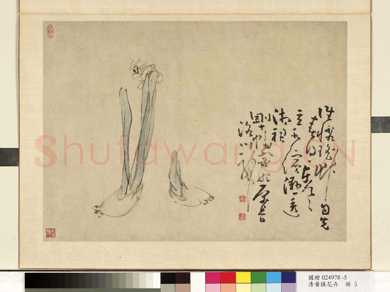 清.黃慎花卉冊水仙.贈畫