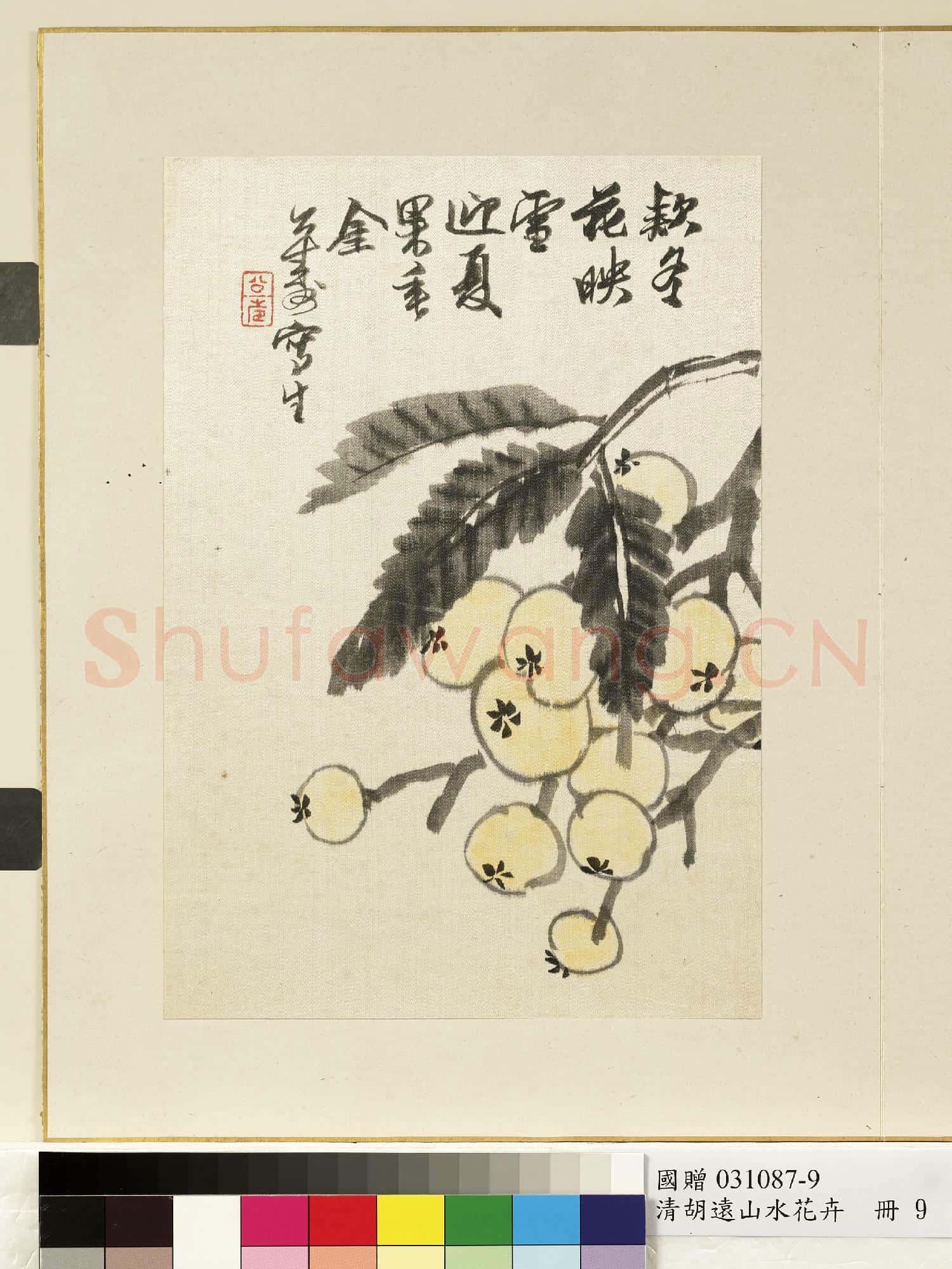 清.胡遠山水花卉冊枇杷.贈畫