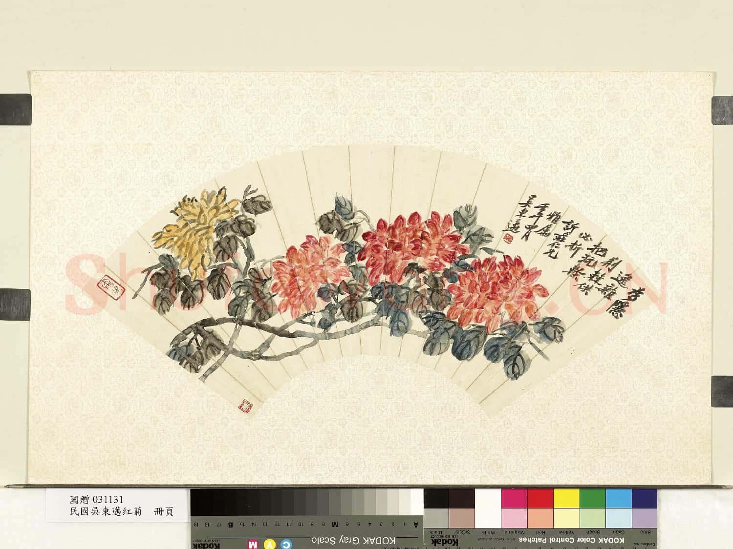 民國.吳東邁紅菊單片.贈畫