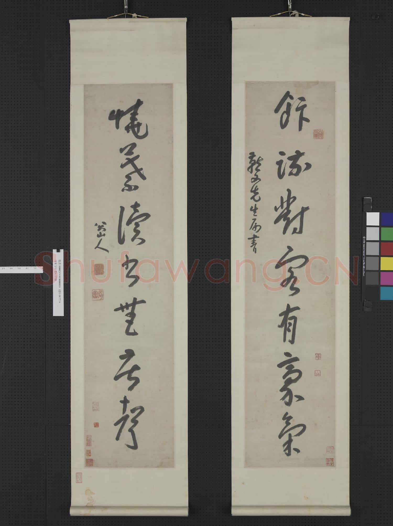 清.朱耷草書