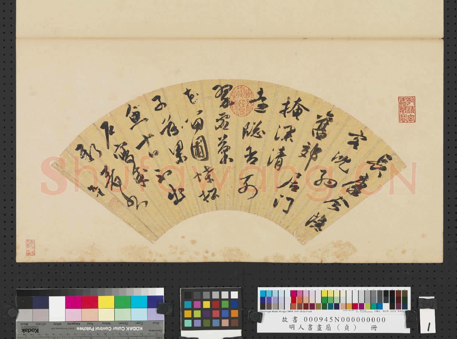 明人書畫扇(貞)冊 明祝允明行書詩