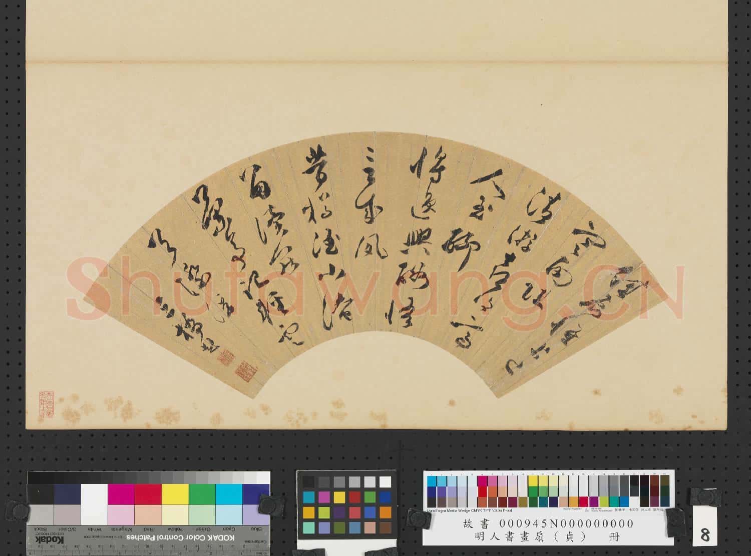 明人書畫扇(貞)冊 明文彭草書五言詩