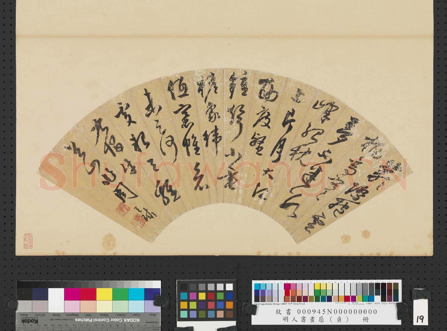 明人書畫扇(貞)冊 明周天球草書詩