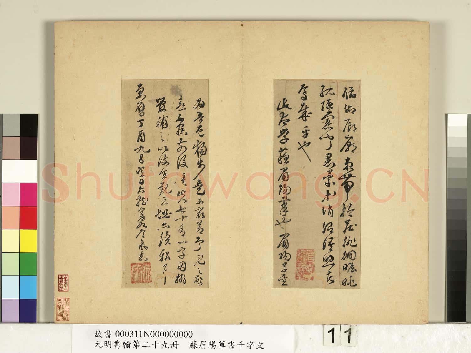 元明書翰第二十九冊 冊 蘇眉陽草書千字文