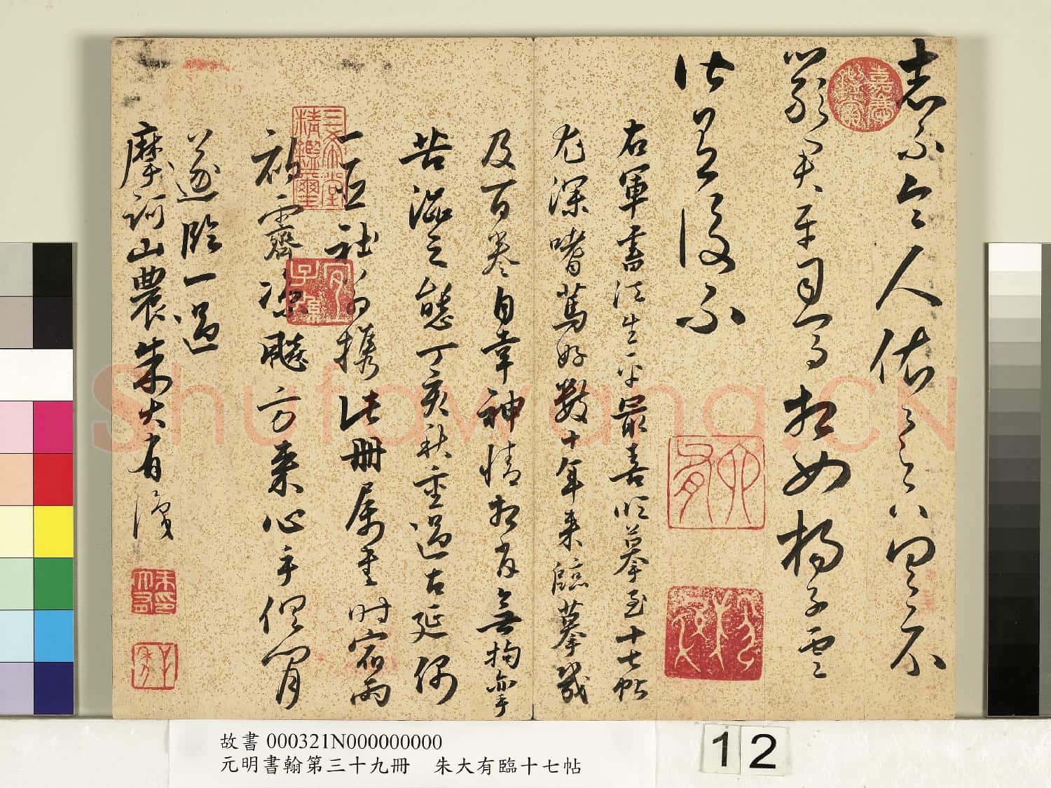 元明書翰第三十九冊 冊 明朱大有草書臨十七帖