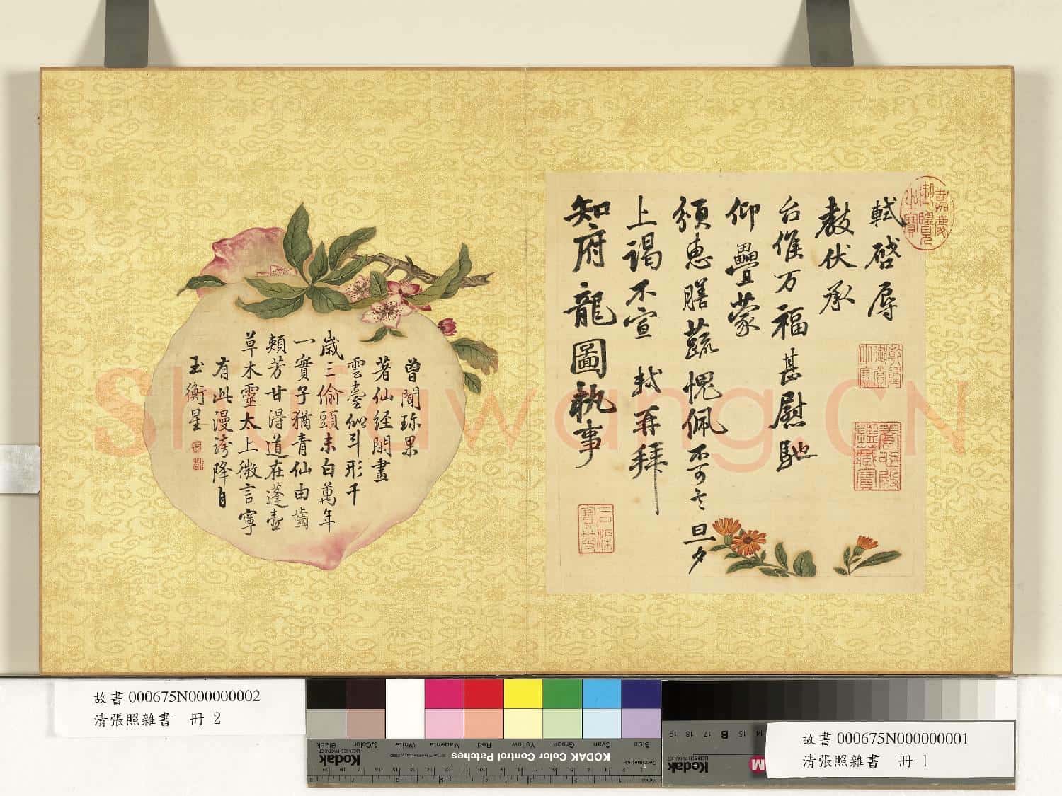 清張照雜書 冊 臨蘇軾尺牘