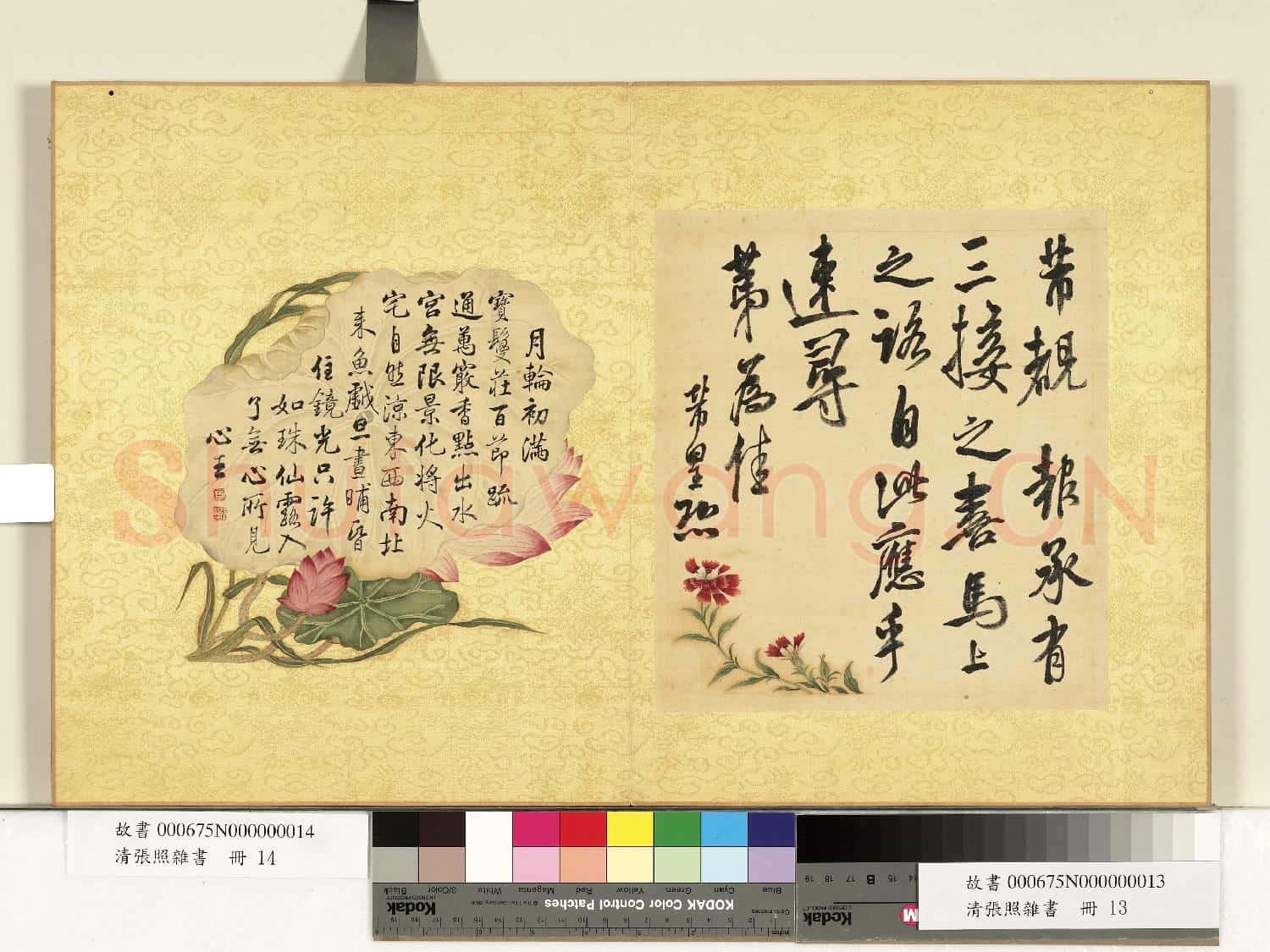 清張照雜書 冊 臨米芾尺牘