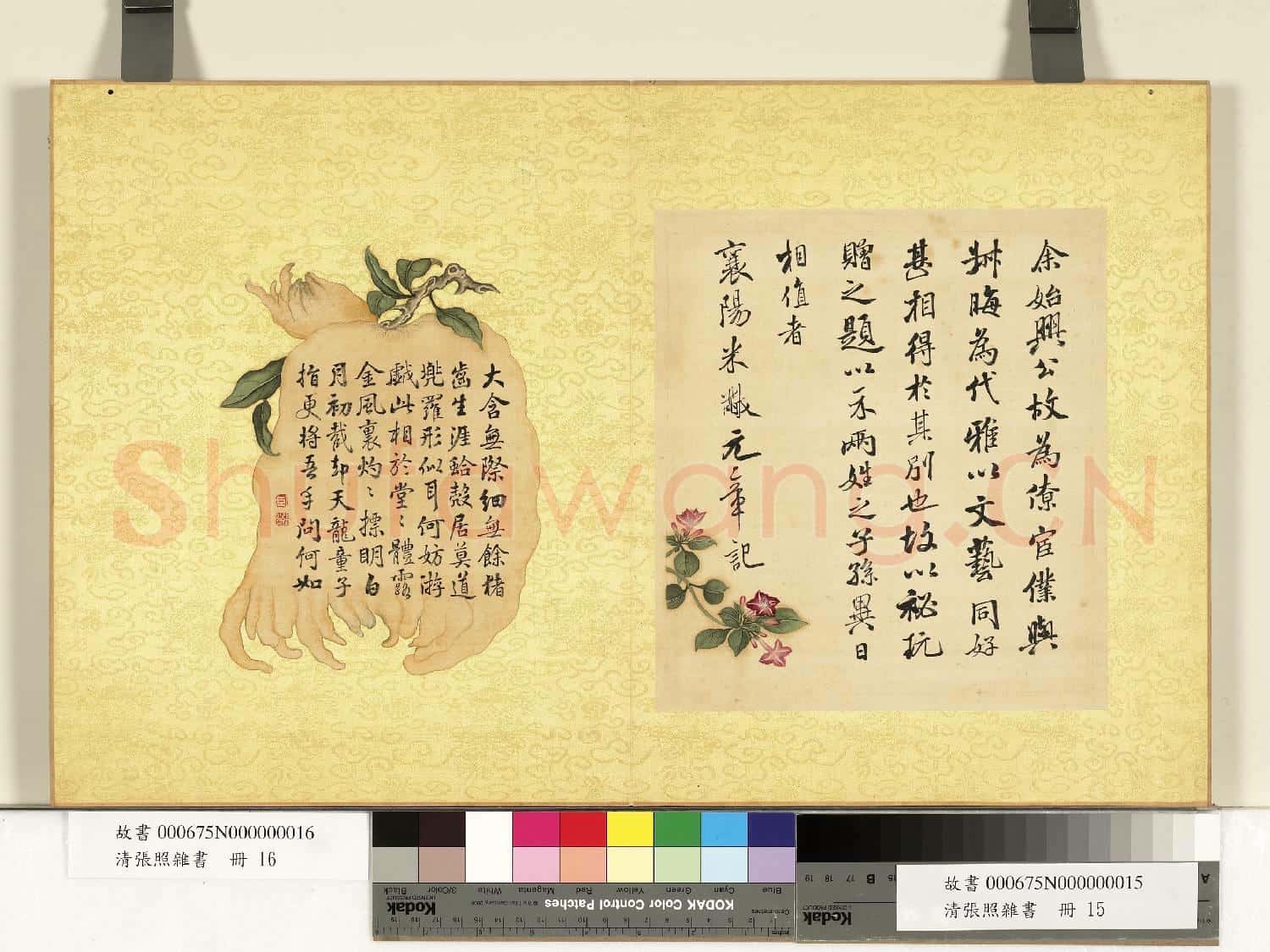 清張照雜書 冊 臨米芾尺牘