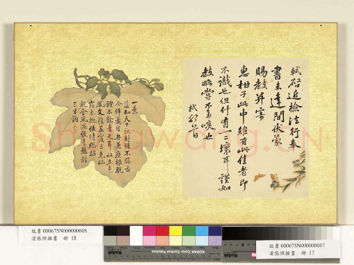 清張照雜書 冊 臨蘇軾尺牘