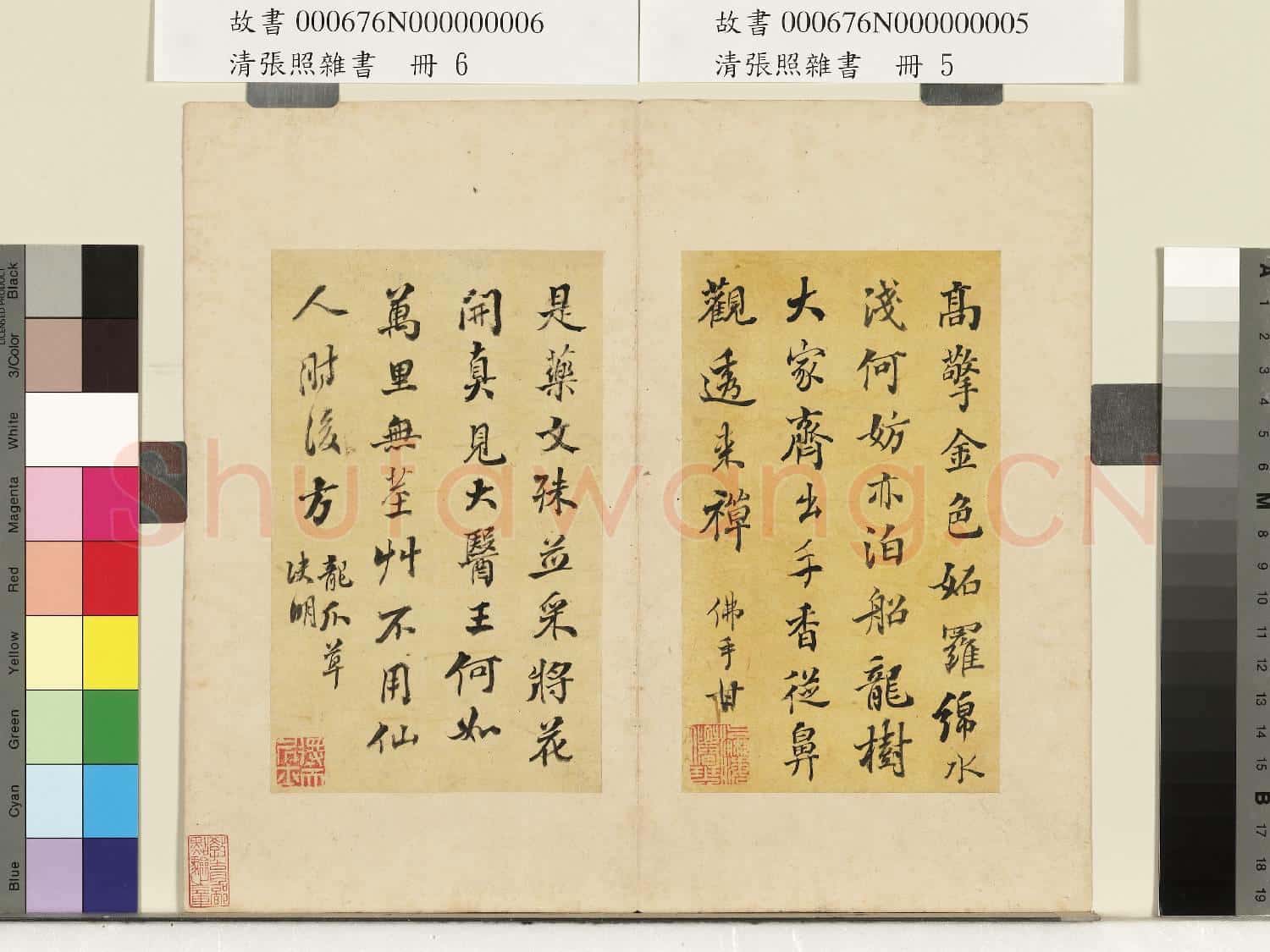清張照雜書 冊 佛手柑