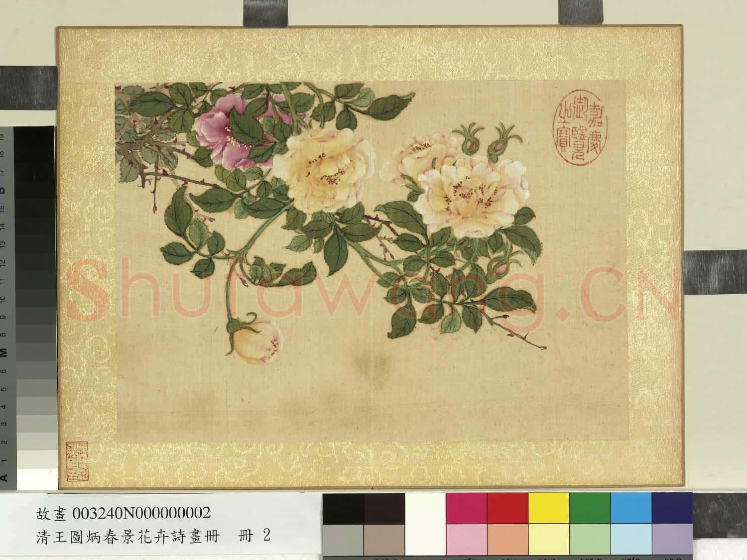 清王圖炳春景花卉詩畫冊 冊 薔薇