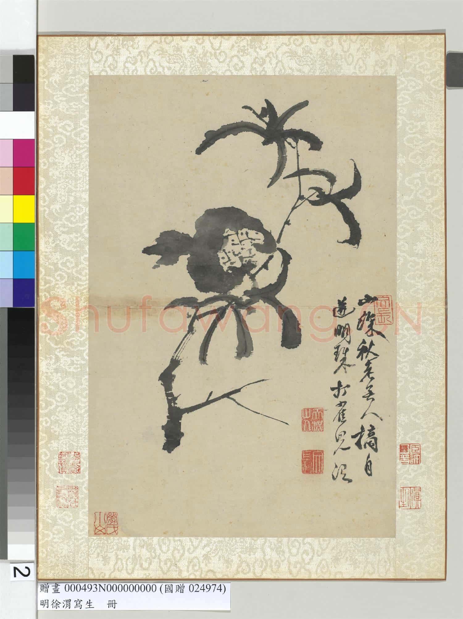 明徐渭寫生冊 冊 水墨直幅畫石榴