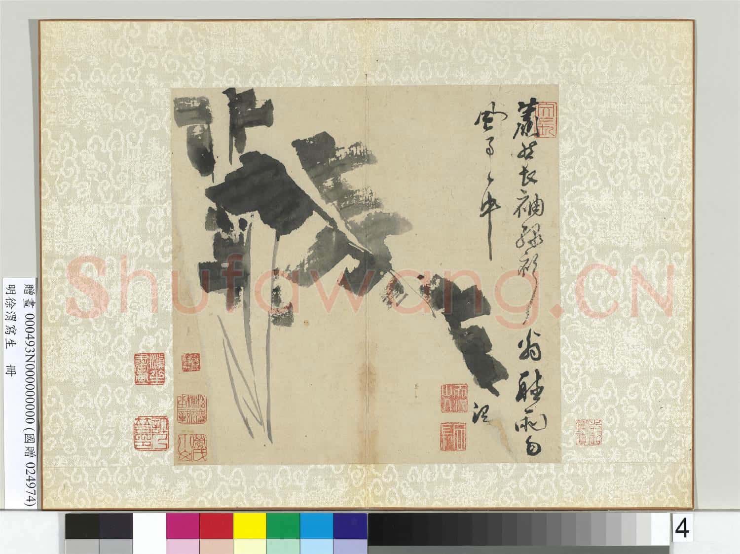 明徐渭寫生冊 冊 水墨畫芭蕉