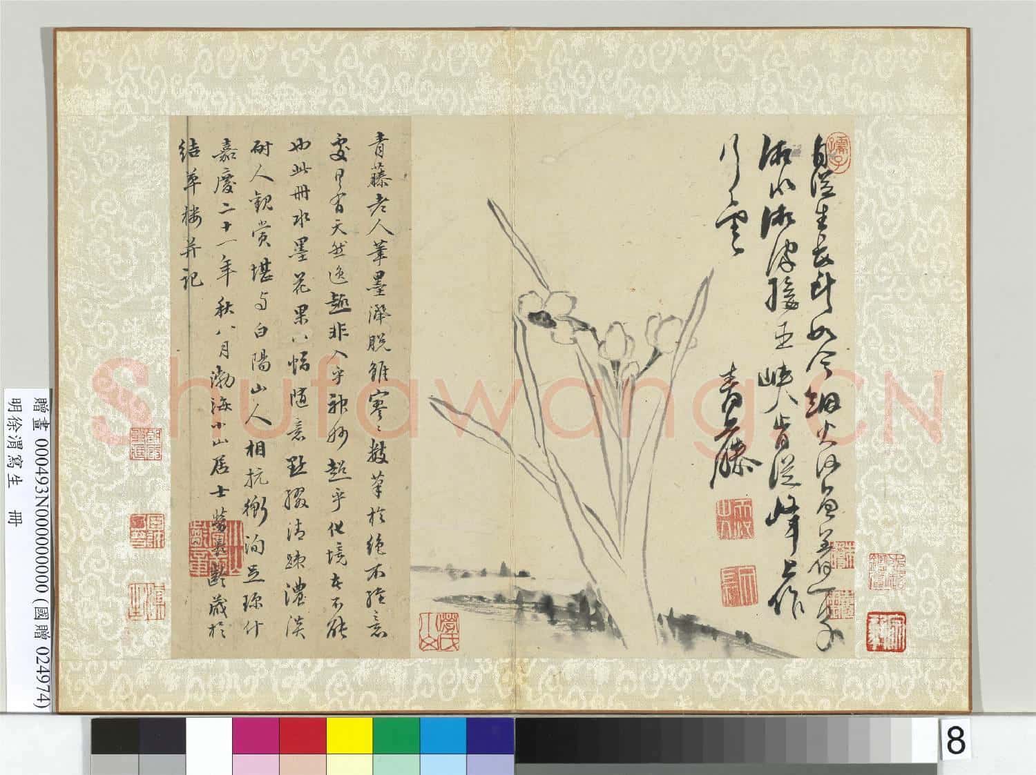 明徐渭寫生冊 冊 水墨畫水仙