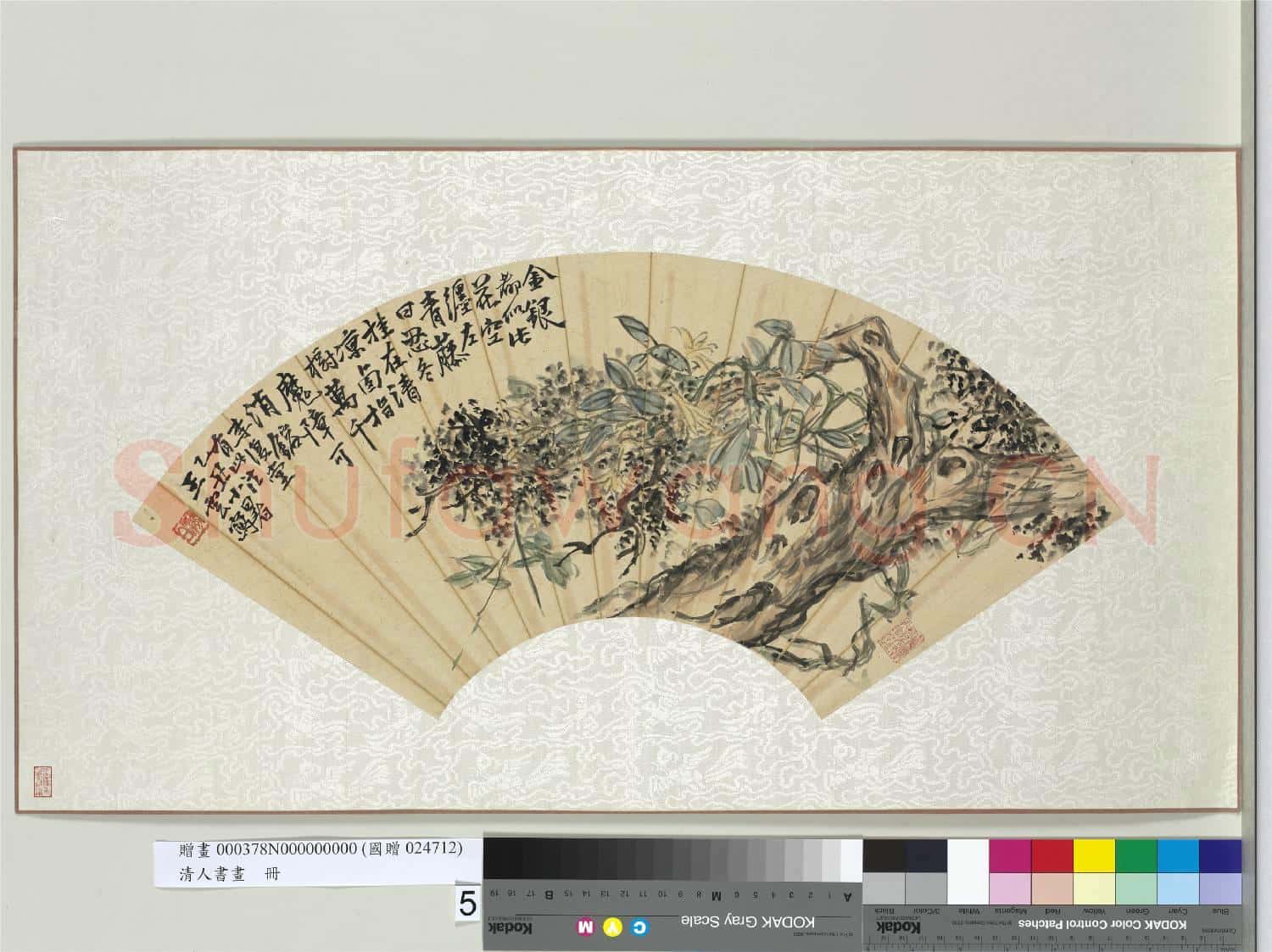 清人書畫冊 冊 王雲古柏青藤