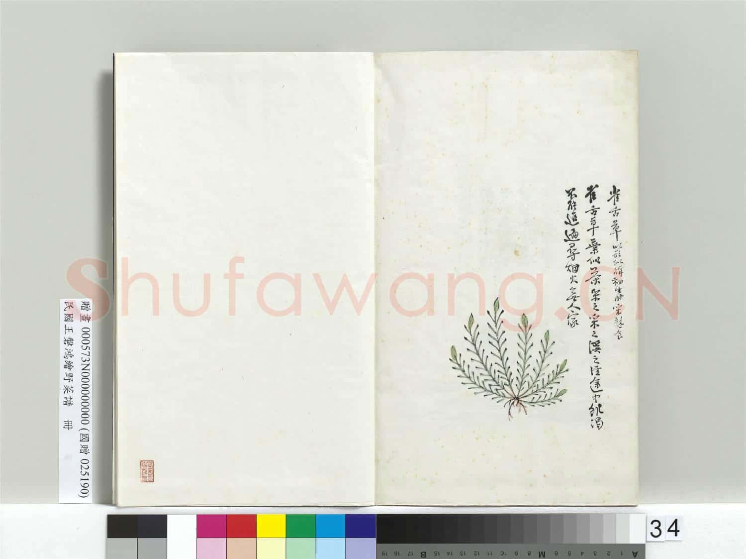 民國人繪王磐野菜譜 冊