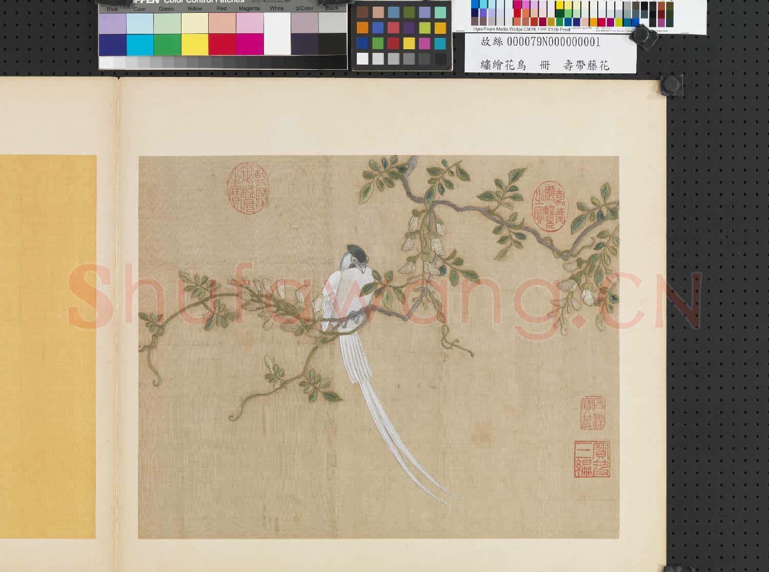 繡繪花鳥 冊 壽帶藤花