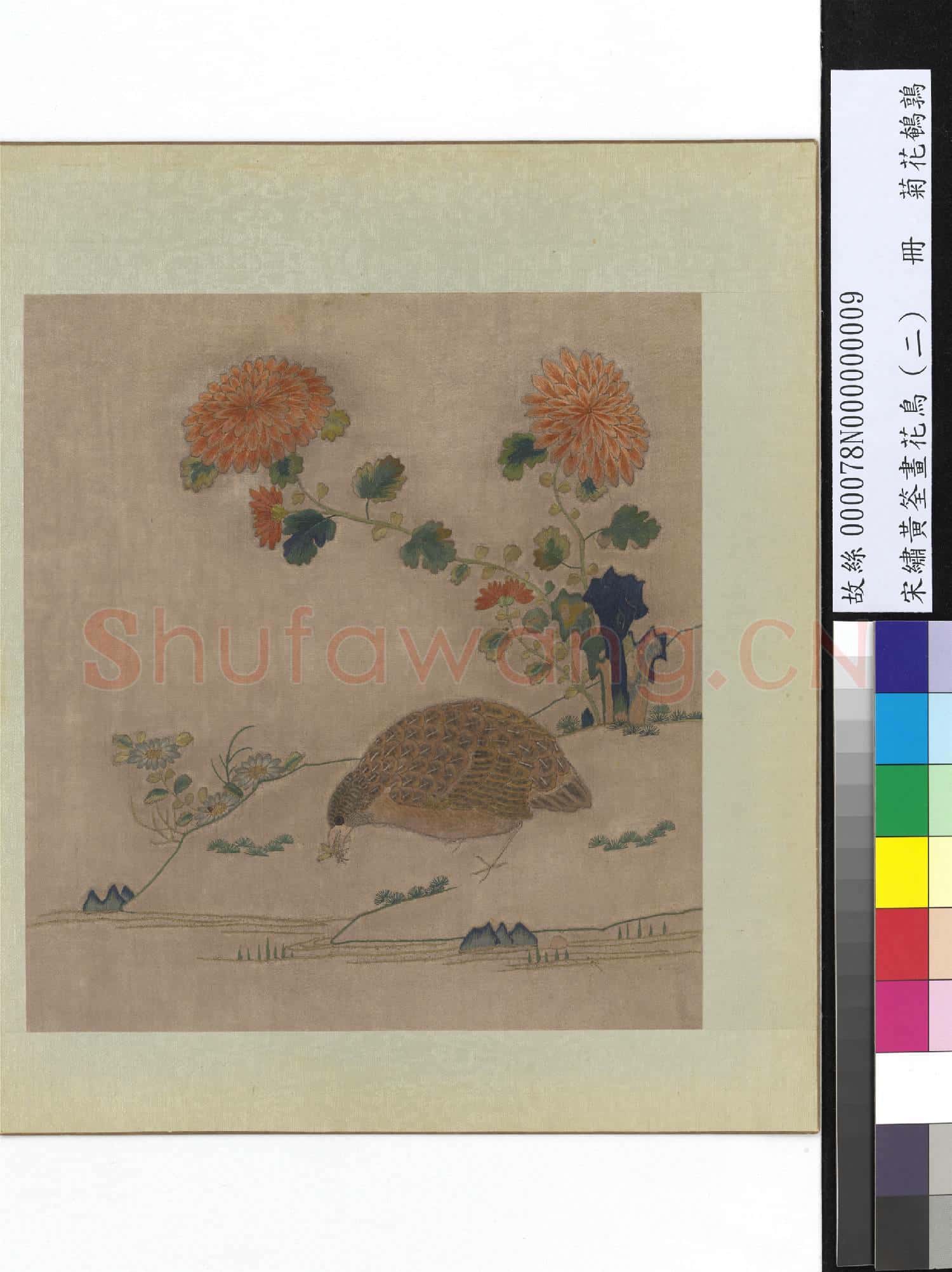 宋繡黃筌畫花鳥(二)冊 菊花鵪鶉