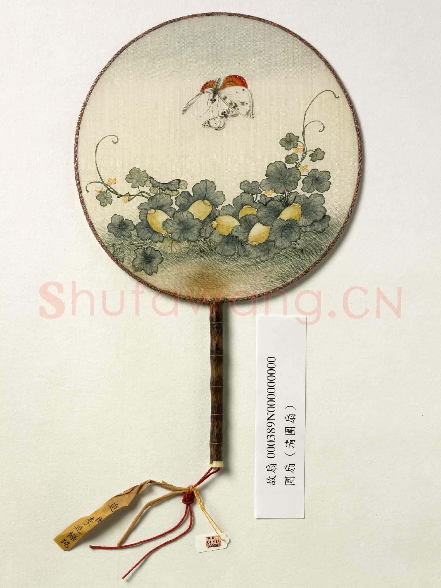 清人花卉 成扇